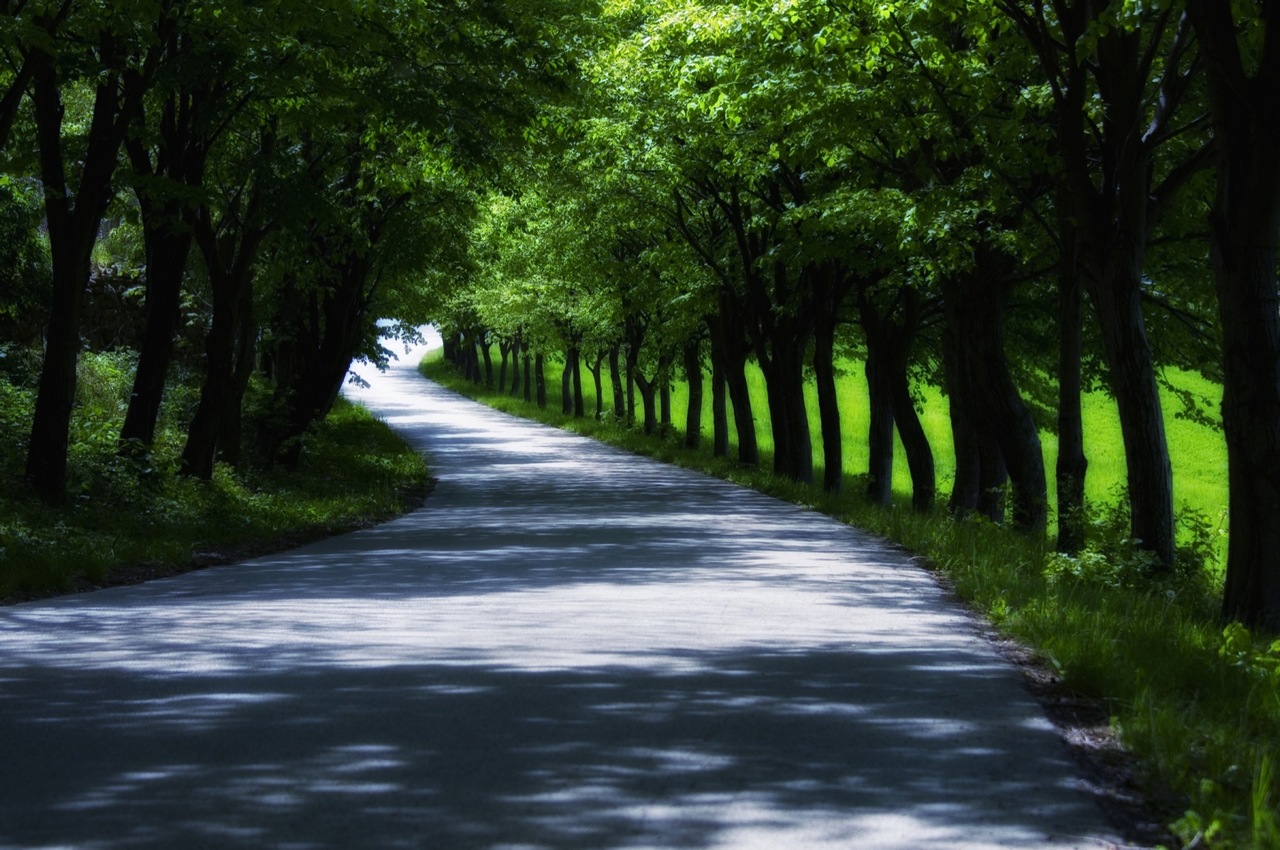 Dvorec Zemono - kje smo